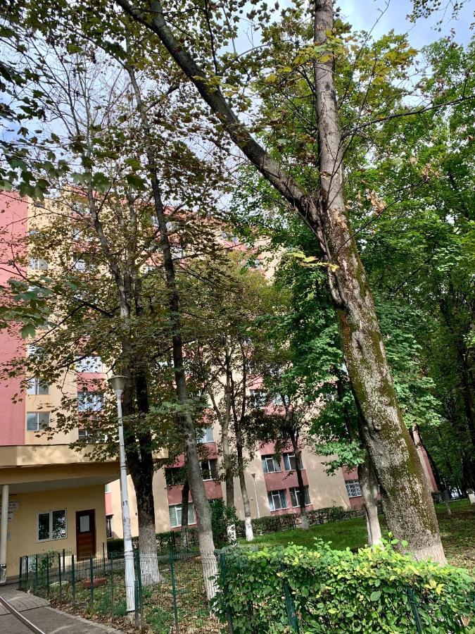 Luand Apartament 雅西 外观 照片